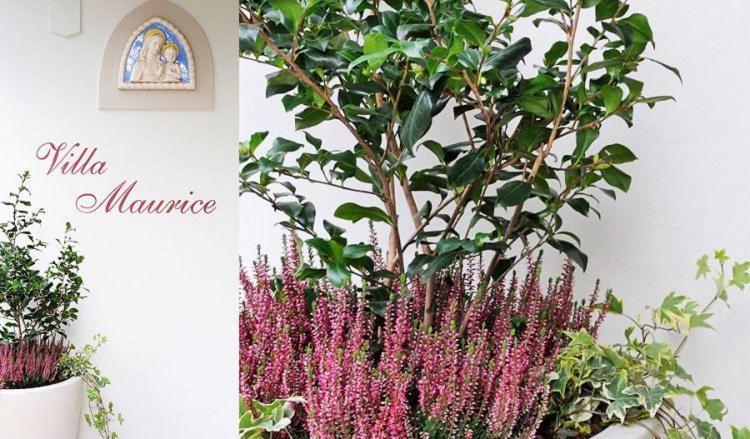 Residence Villa Maurice Стреза Екстериор снимка